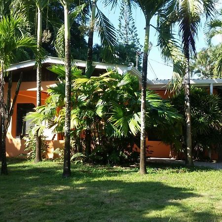 Embassy House Bed and Breakfast Puerto Jiménez Buitenkant foto