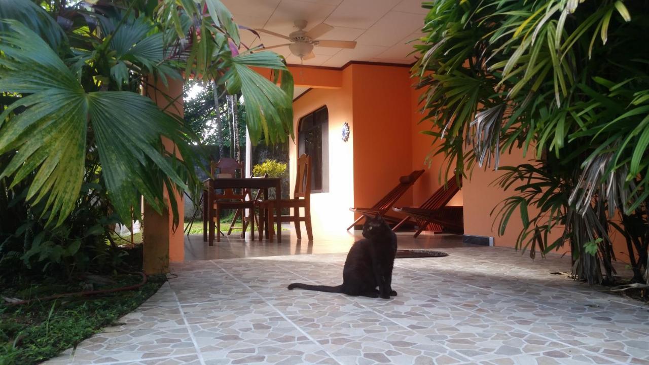 Embassy House Bed and Breakfast Puerto Jiménez Buitenkant foto