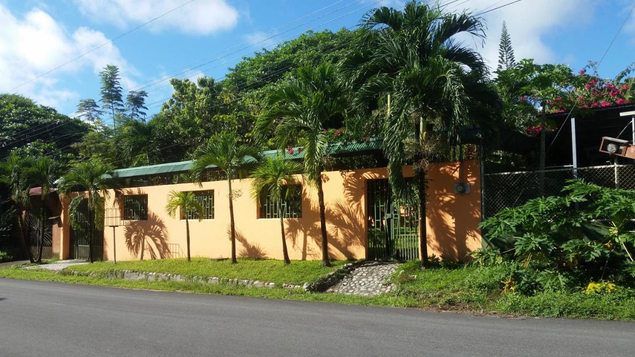 Embassy House Bed and Breakfast Puerto Jiménez Buitenkant foto